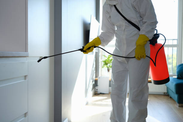 Best Same-Day Mold Removal  in Pleasant Hill, MS
